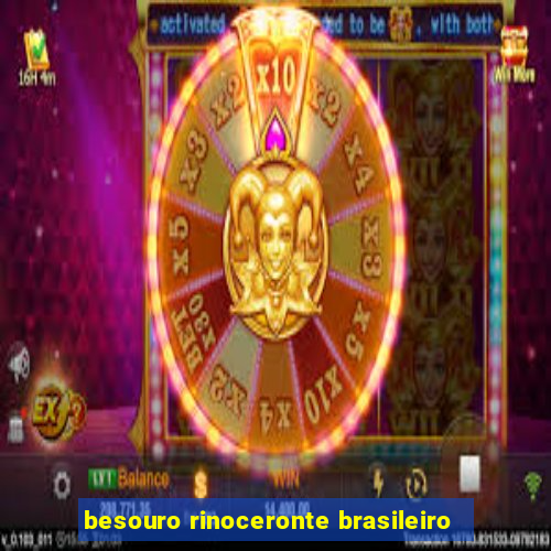 besouro rinoceronte brasileiro